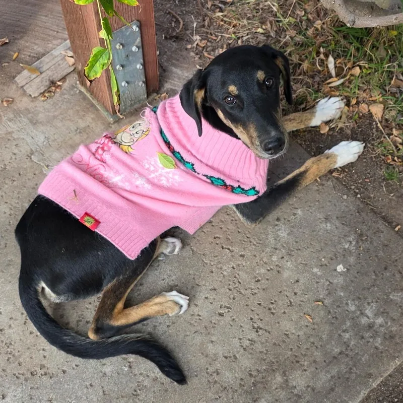 Destiney & Hope & thumbnail 5