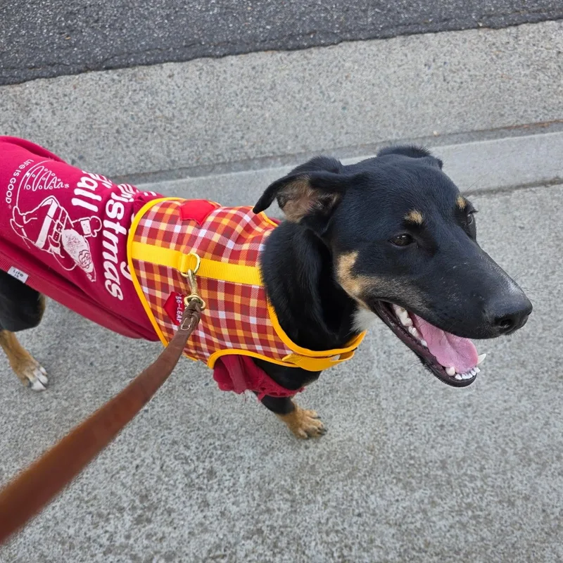 Destiney & Hope & thumbnail 6