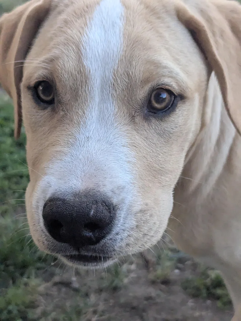 Oakley thumbnail 3