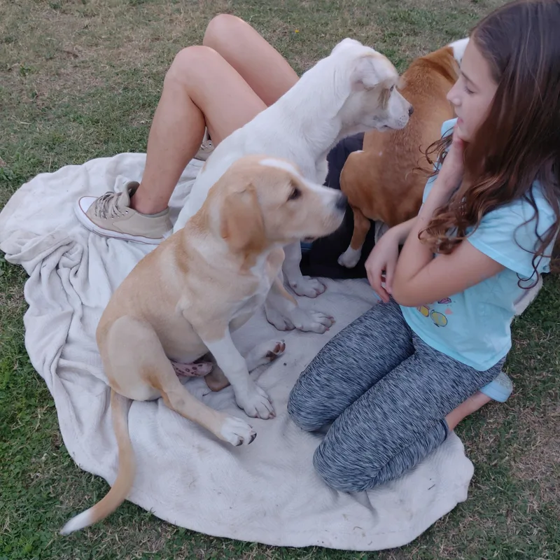 Oakley thumbnail 4