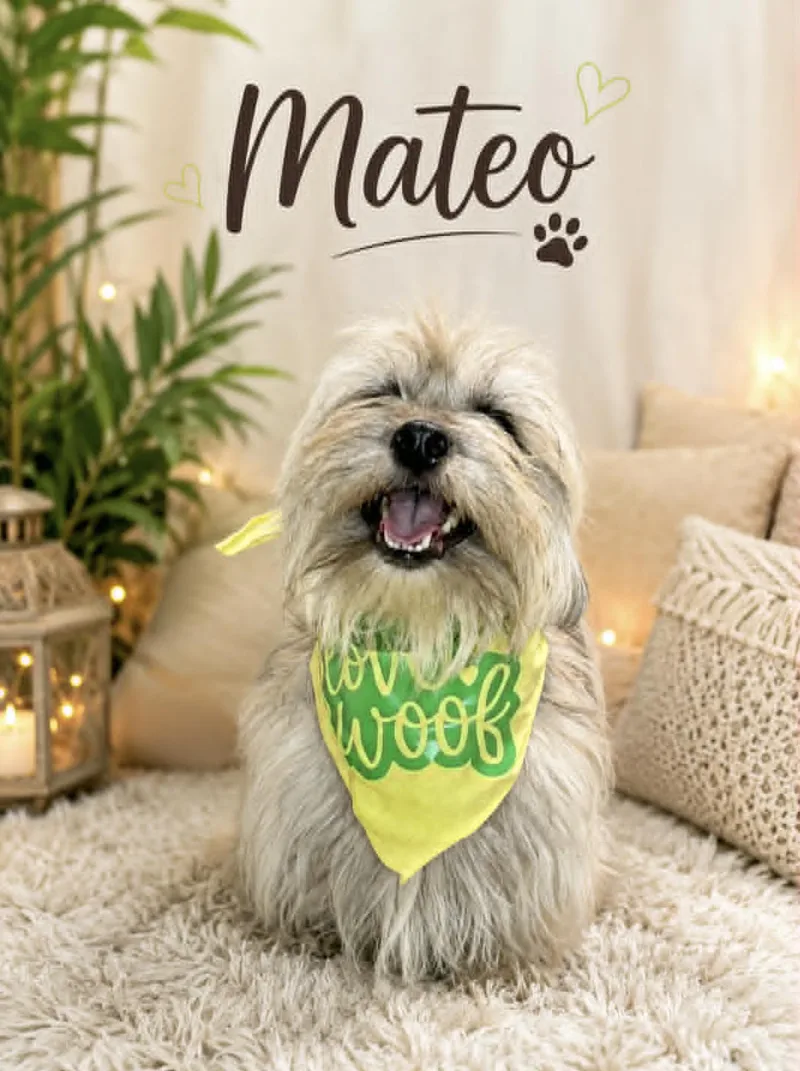 Mateo thumbnail 4