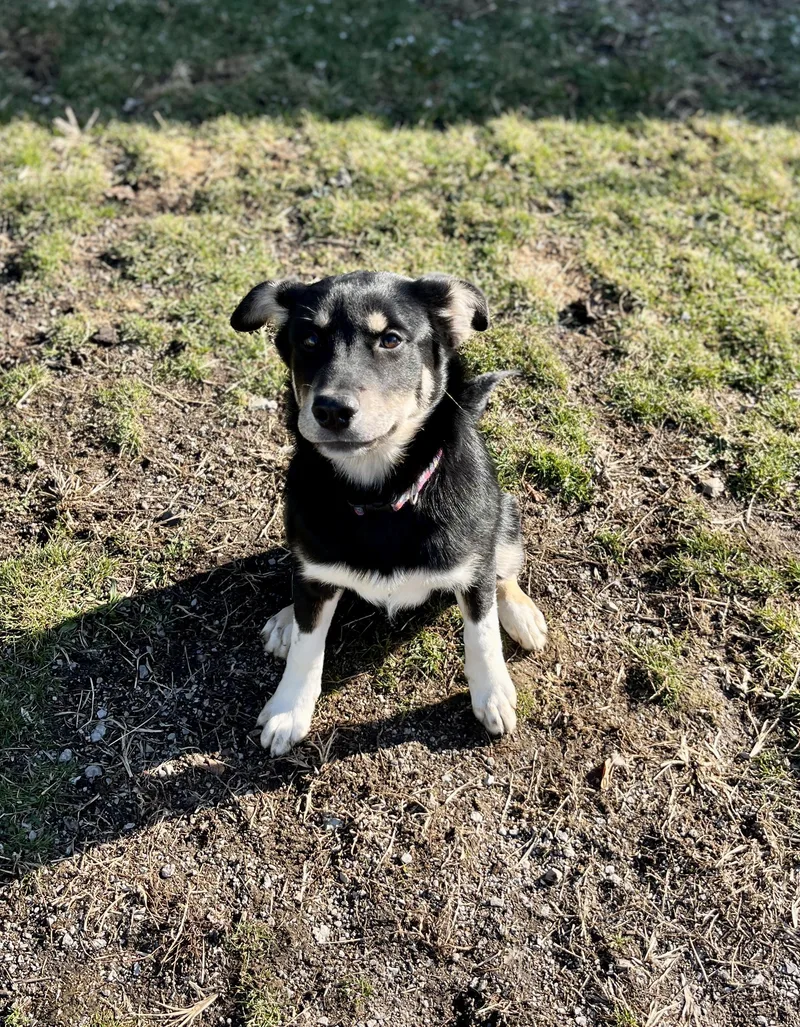 Cindy Lou thumbnail 2