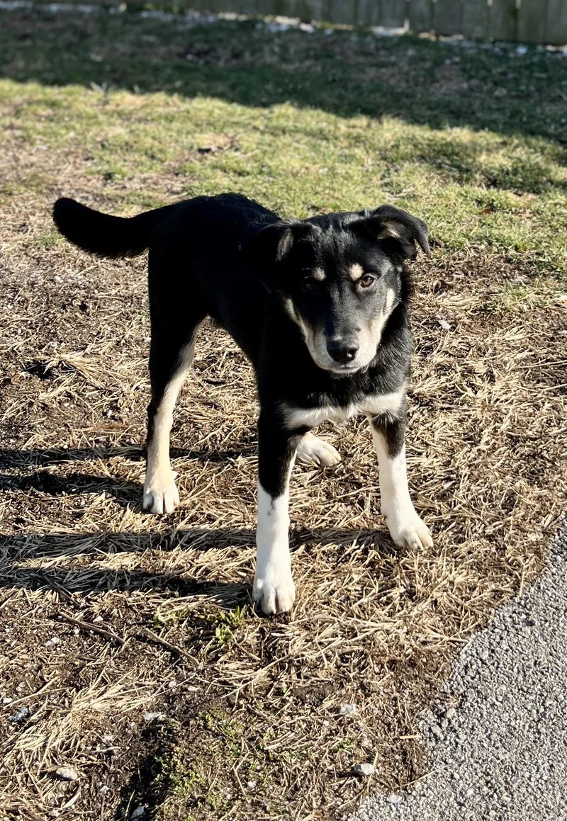 Cindy Lou thumbnail 3