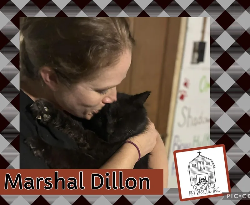 Marshal Dillon thumbnail 3
