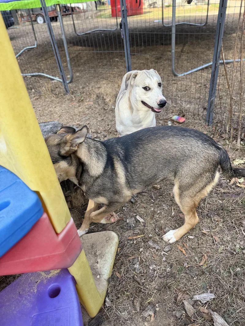 Lord Butterbean thumbnail 3