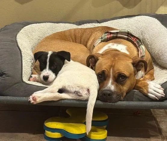 Mckenzie thumbnail 2