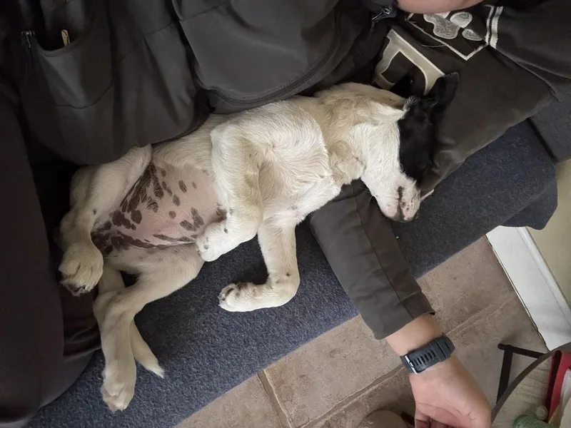 Mckenzie thumbnail 3