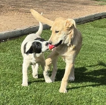 Mckenzie thumbnail 4