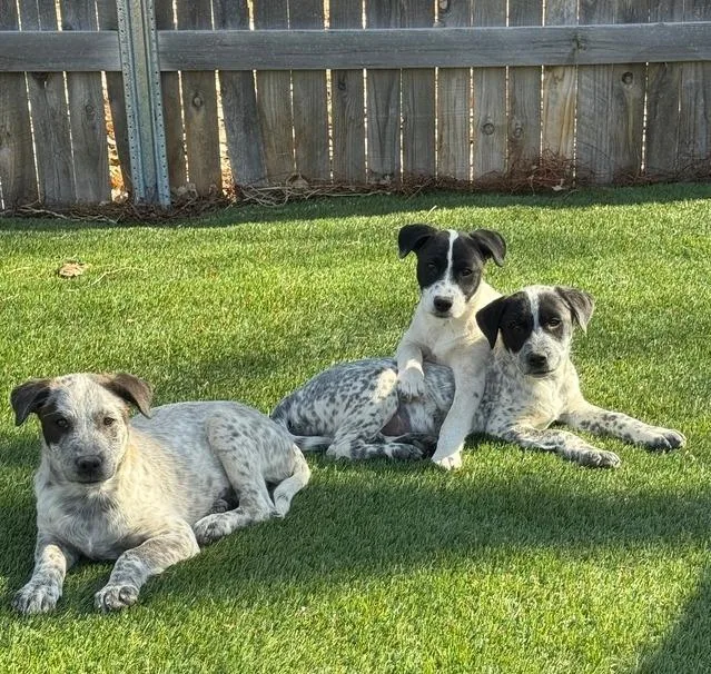 Mckenzie thumbnail 5