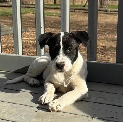 Mckenzie thumbnail 6