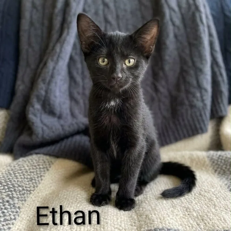 Ethan