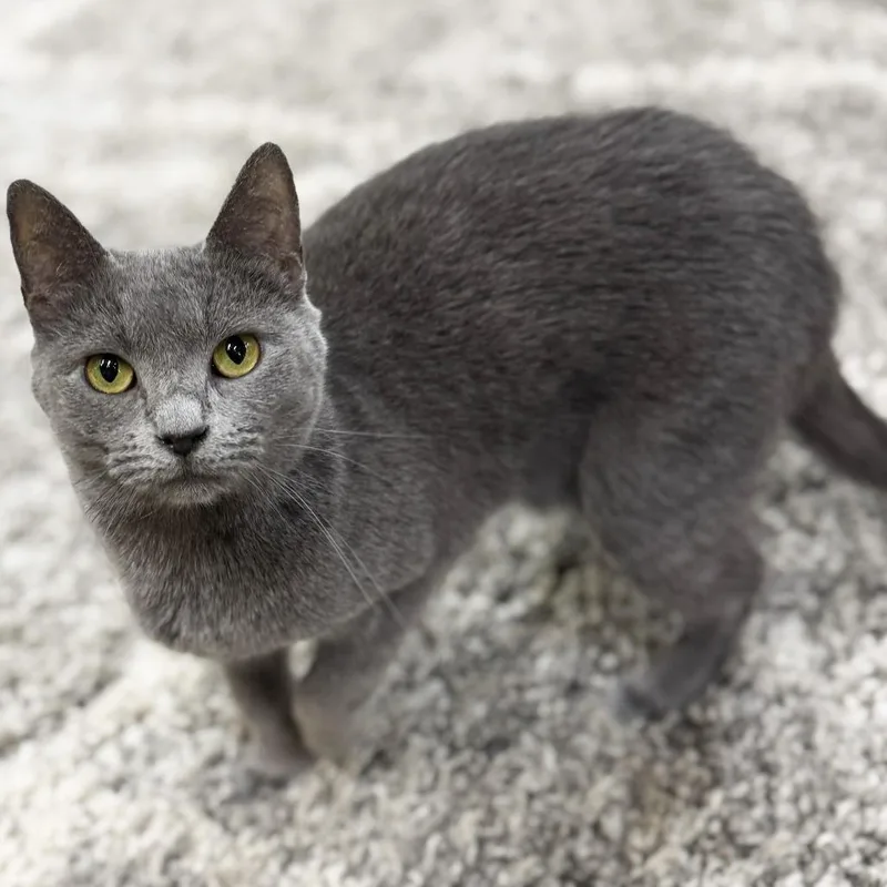 Mama Junebug thumbnail 3