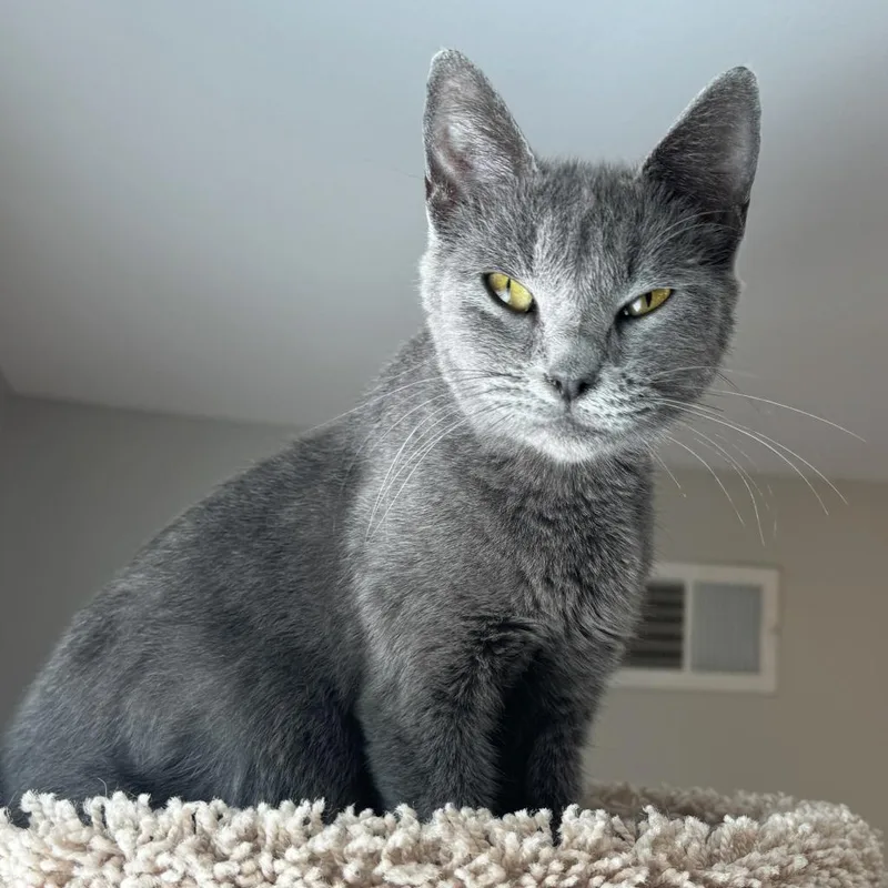 Mama Junebug thumbnail 4