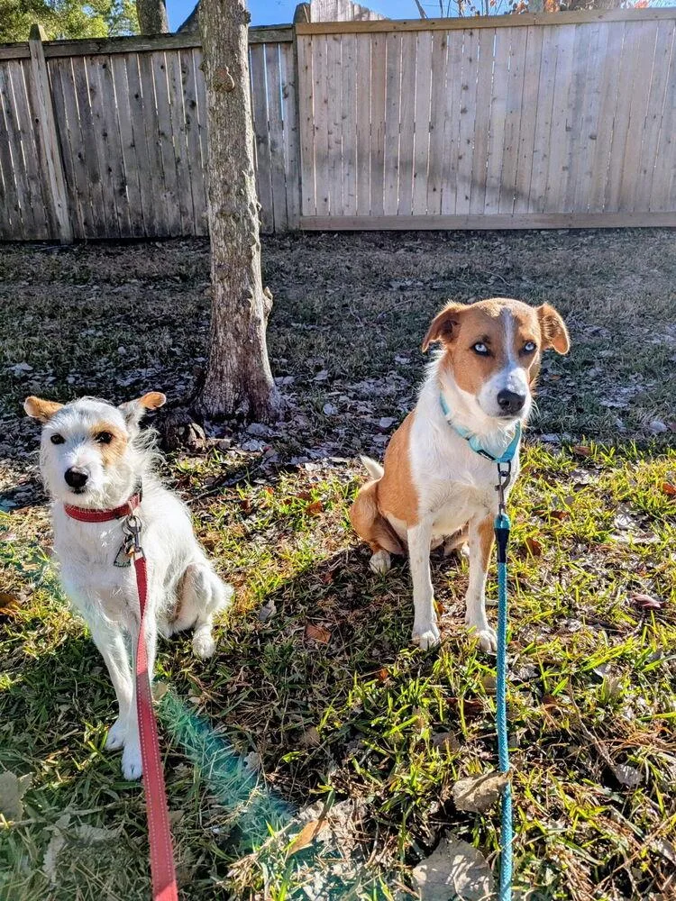 Sparkling Rosé thumbnail 2