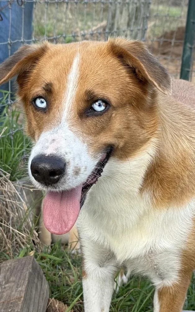 Sparkling Rosé thumbnail 5