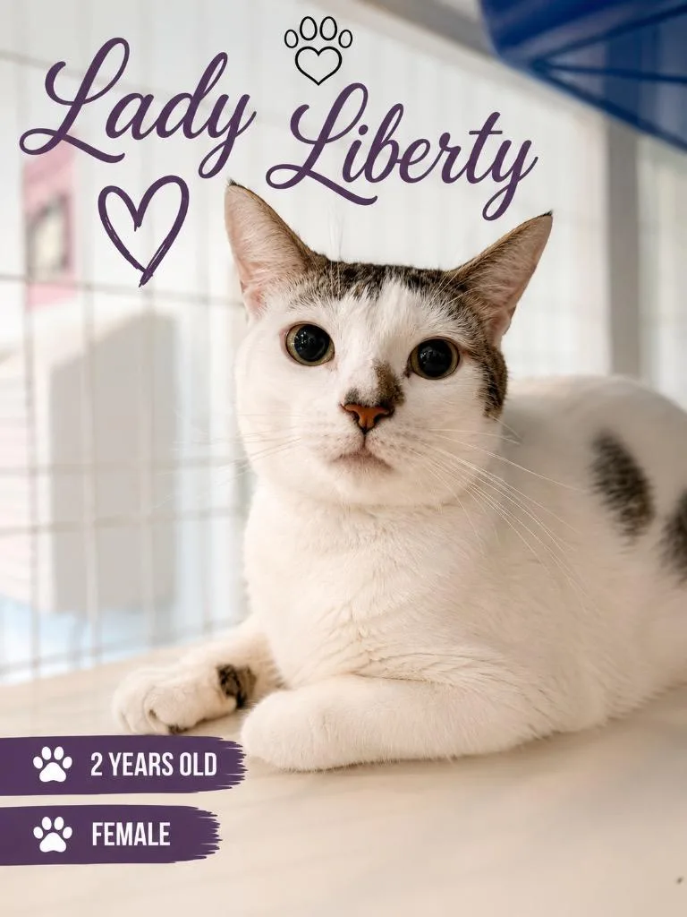 Lady Liberty thumbnail 2