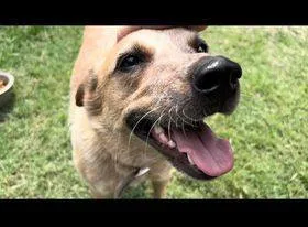 Roger And Sissy thumbnail 2