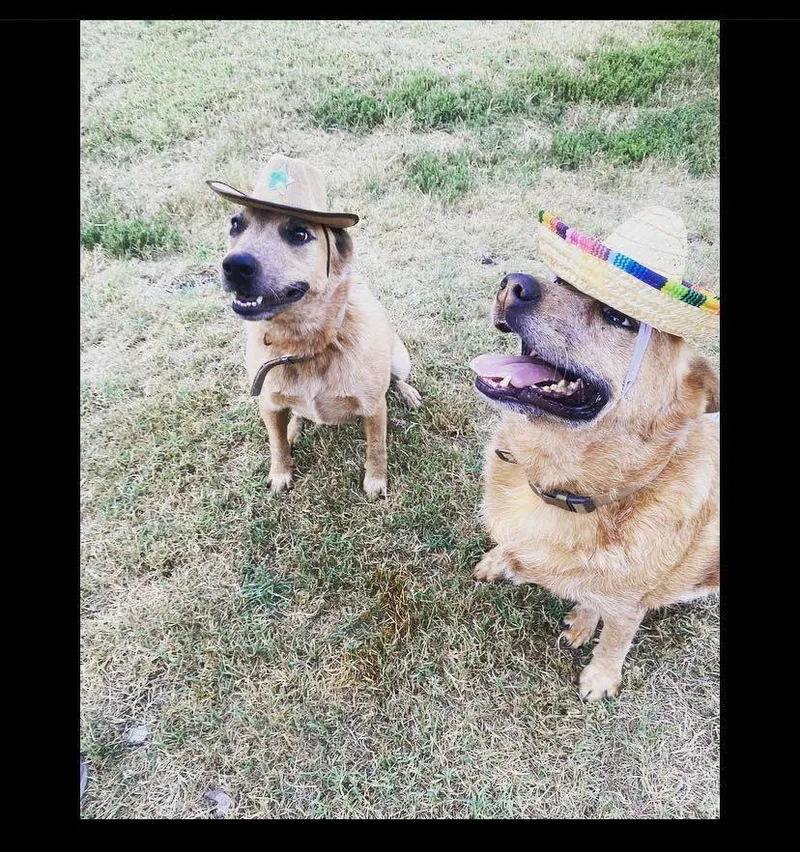 Roger And Sissy thumbnail 3