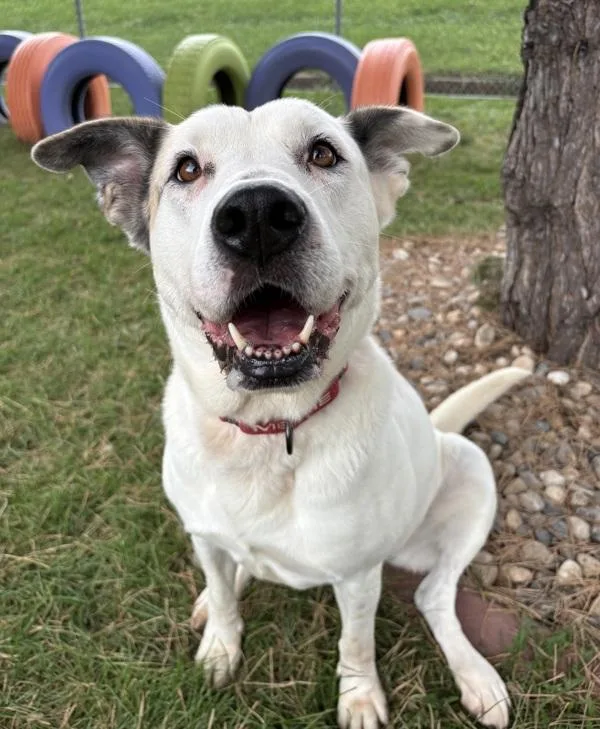 Blanca