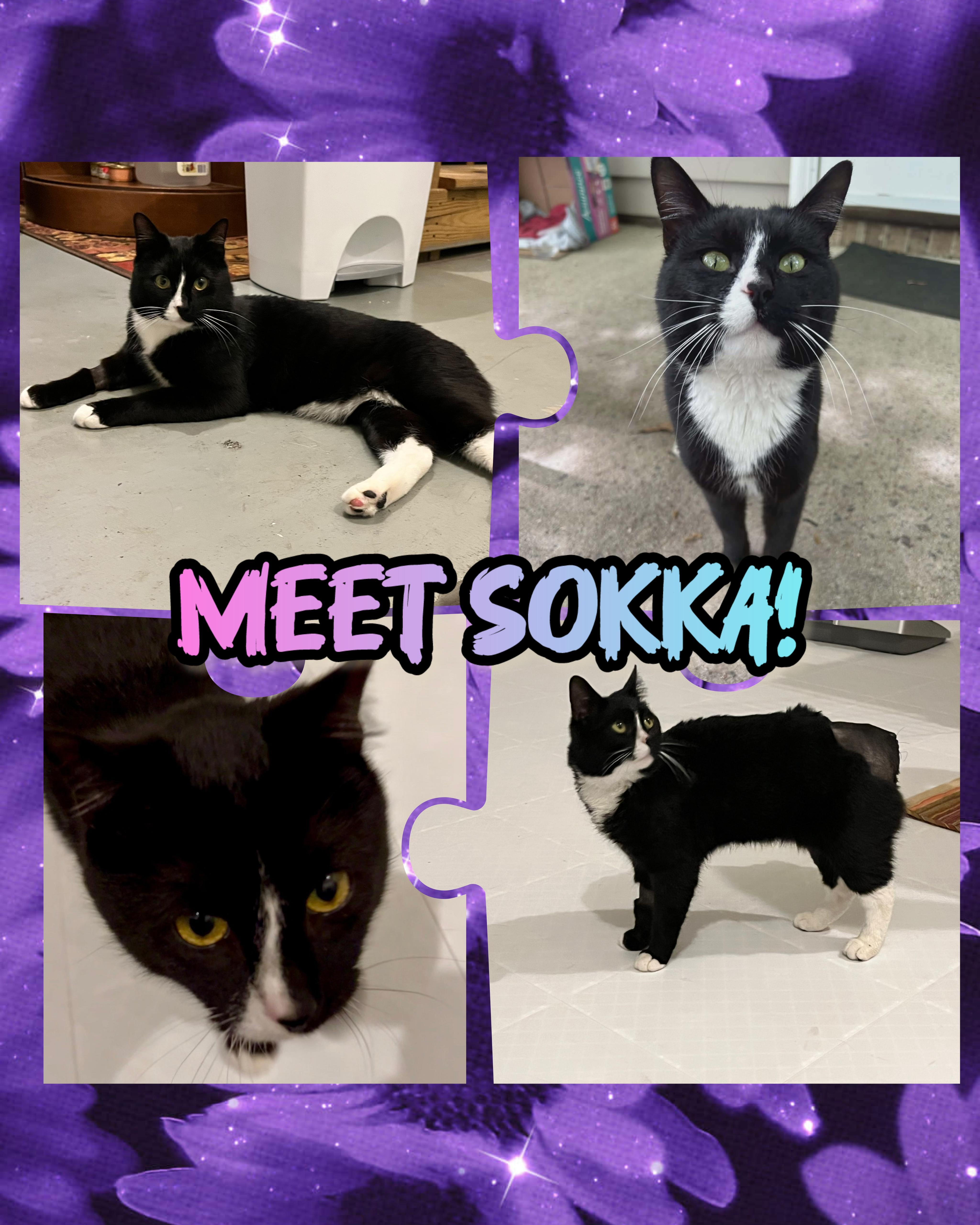 Sokka thumbnail 3
