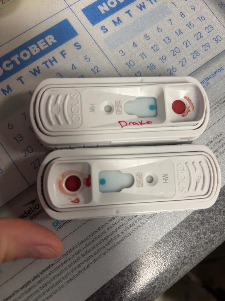 Roxydolly Pepper thumbnail 2