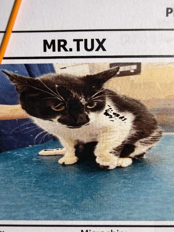 Mr. Tux