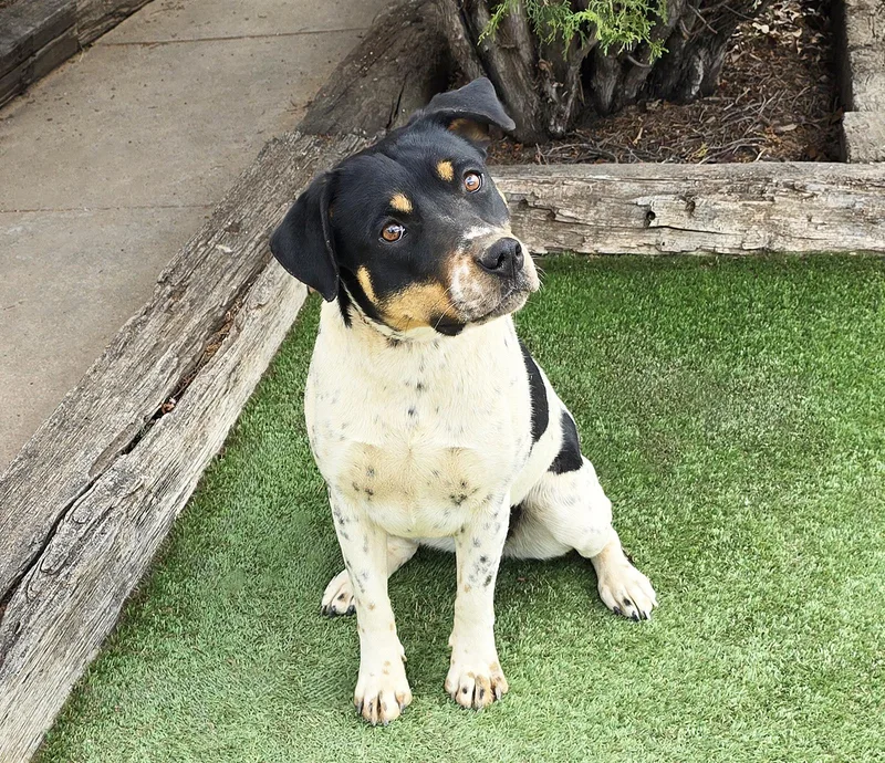 Jaunty Ms Jazlyn = thumbnail 2