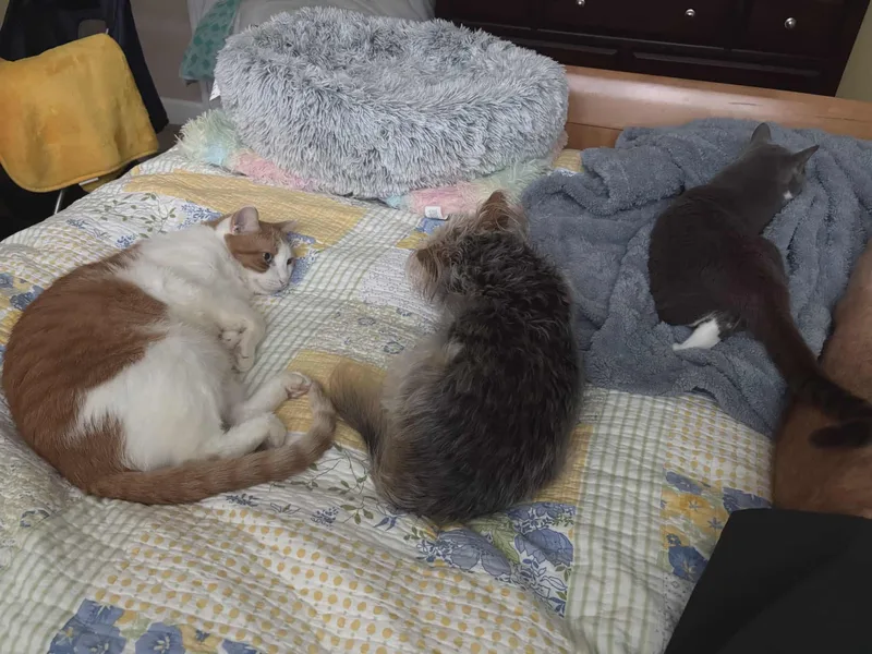 Jaycovery Sweet And Loving