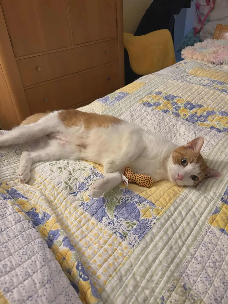 Jaycovery Sweet And Loving thumbnail 2