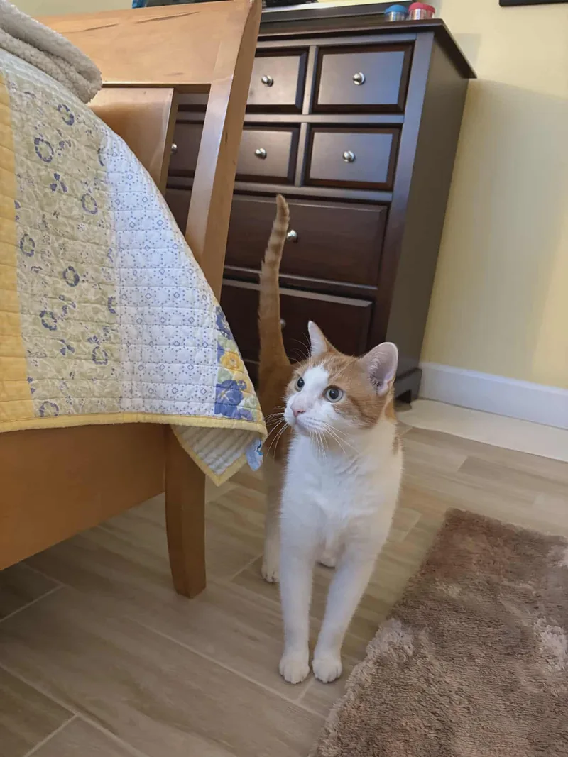 Jaycovery Sweet And Loving thumbnail 3