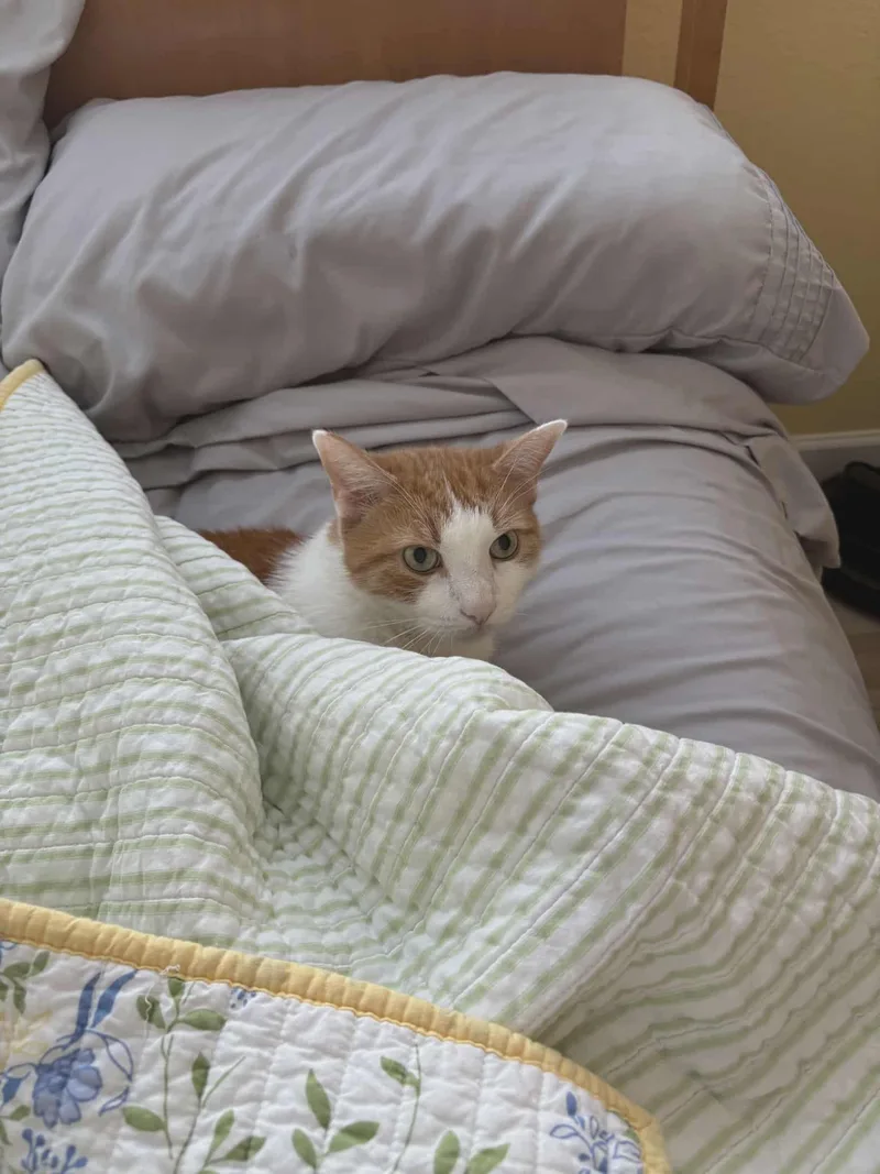 Jaycovery Sweet And Loving thumbnail 5