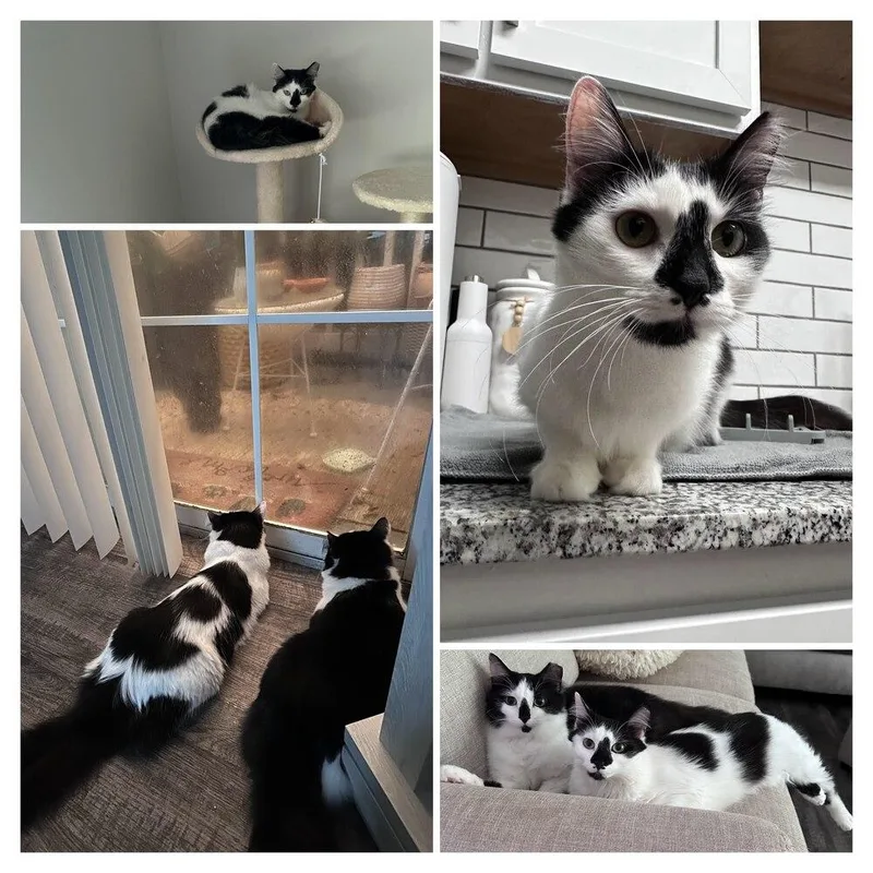 Jacqueline Sc thumbnail 2