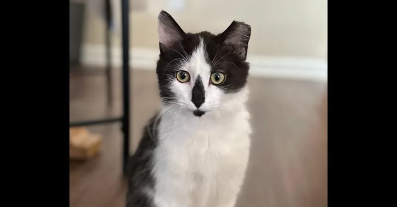 Jacqueline Sc thumbnail 3