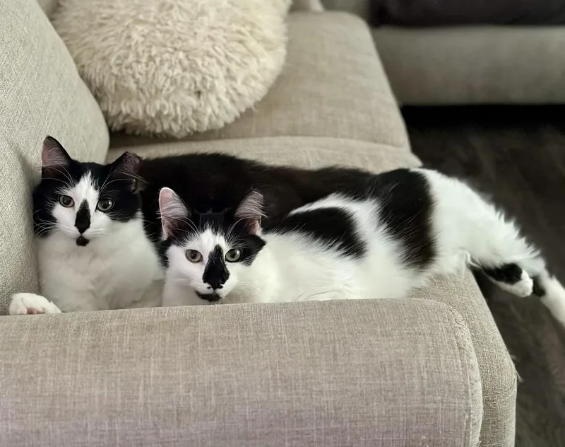 Jacqueline Sc thumbnail 4