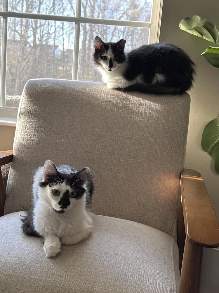 Jacqueline Sc thumbnail 5