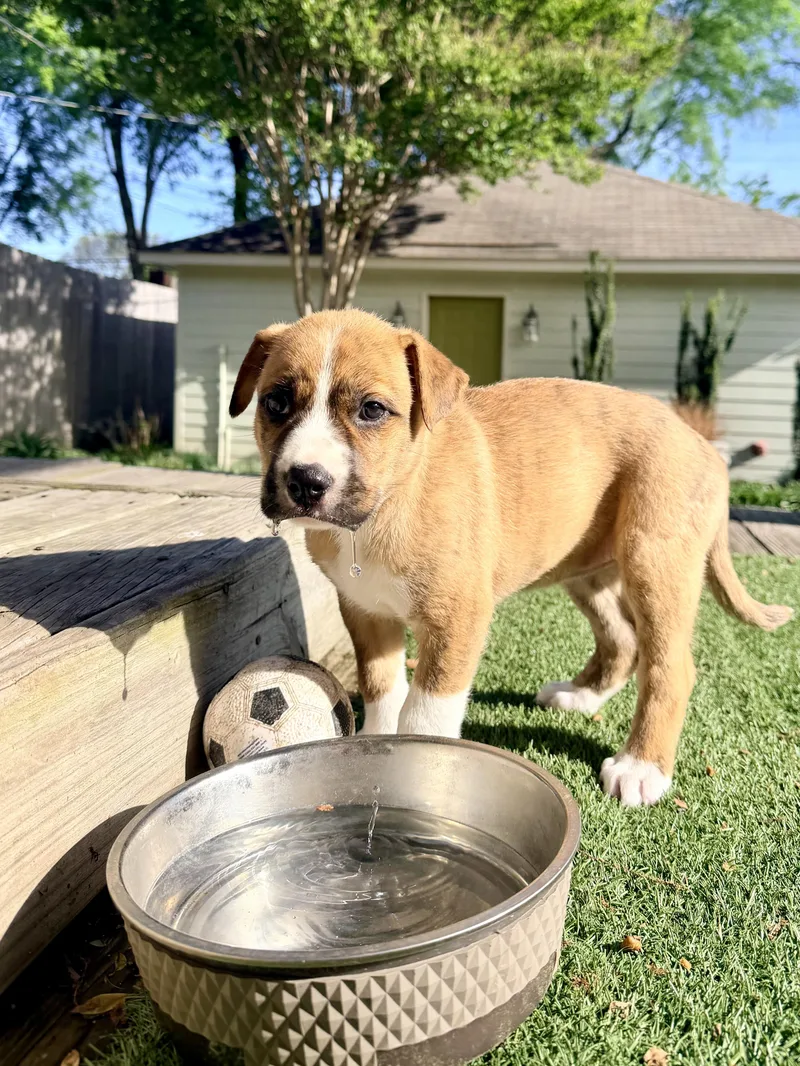 May Belle thumbnail 2