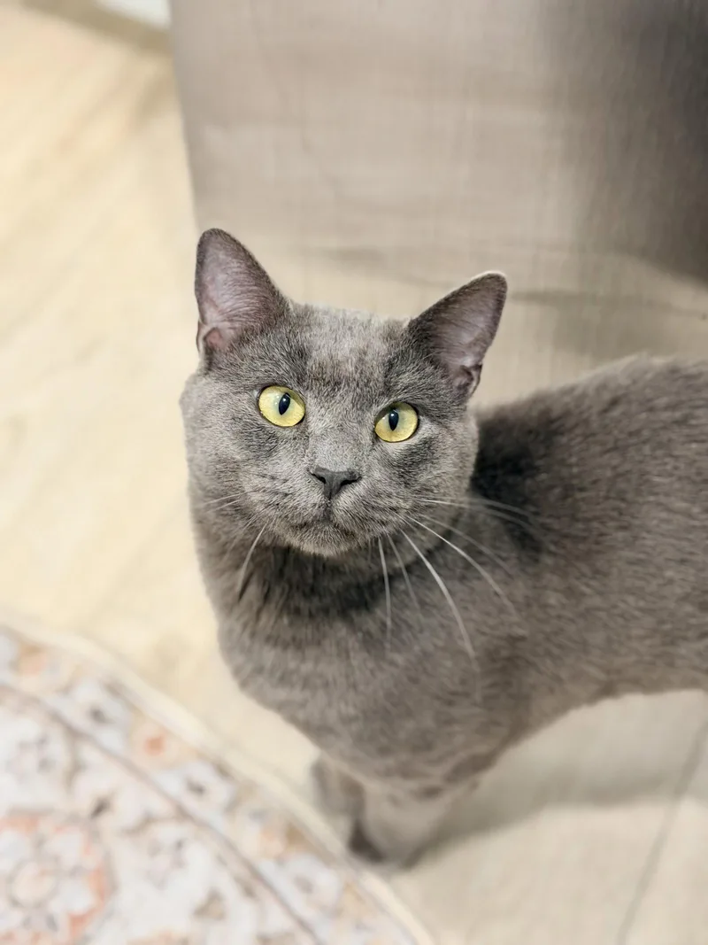 Bob Barker thumbnail 3