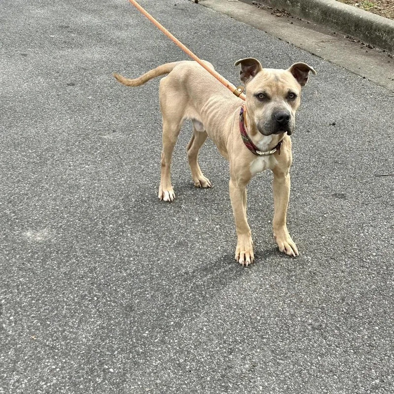 Mike From Hr thumbnail 2