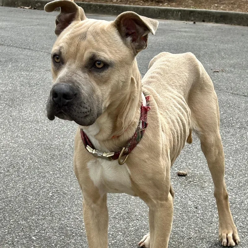 Mike From Hr thumbnail 3