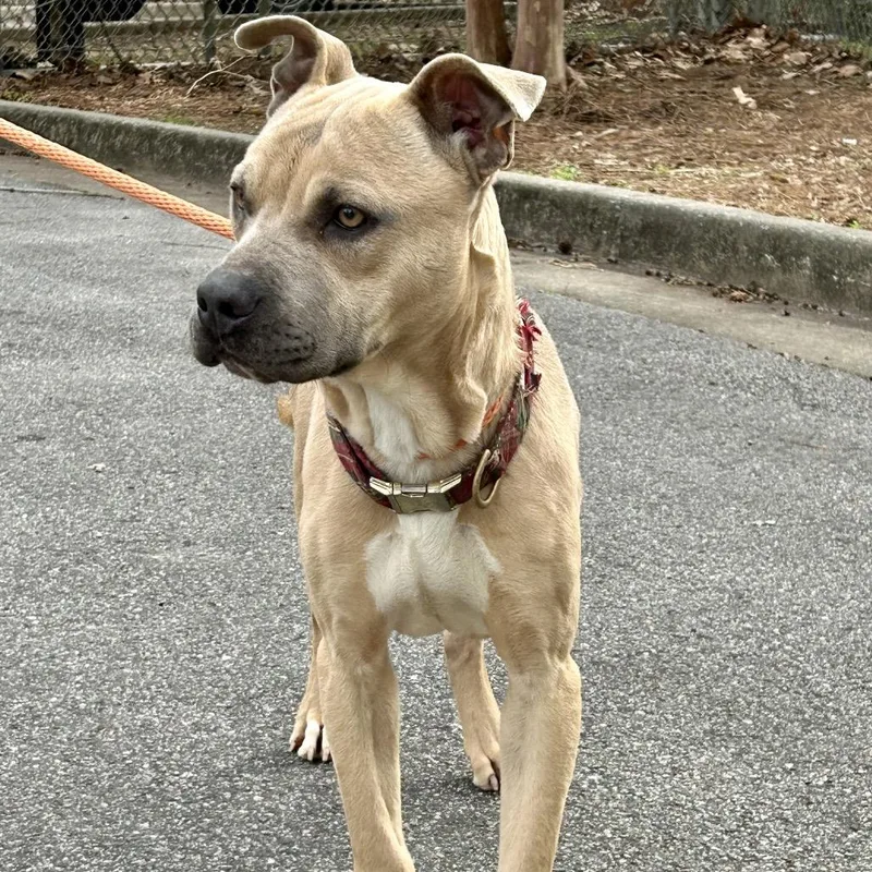 Mike From Hr thumbnail 4