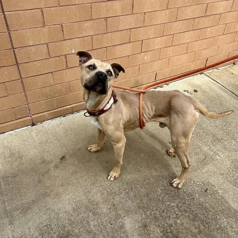 Mike From Hr thumbnail 5