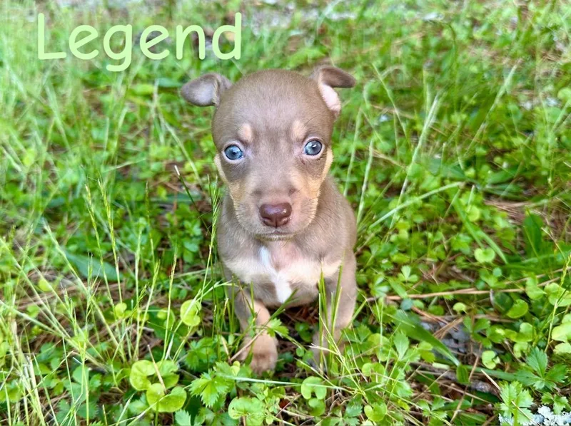 Legend