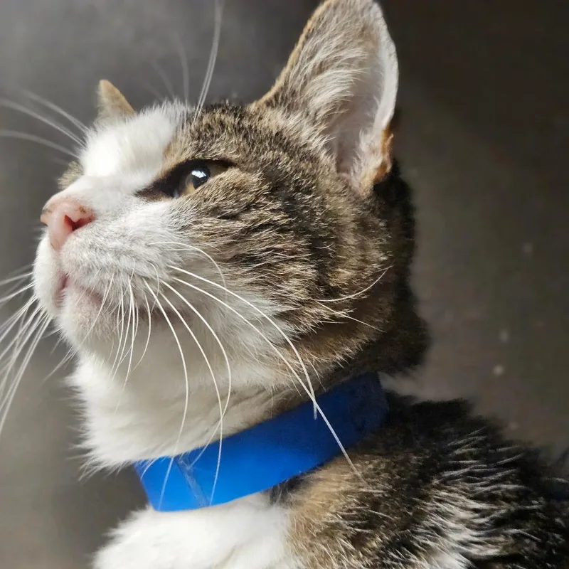 Sherlock thumbnail 5