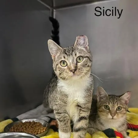 Sicily