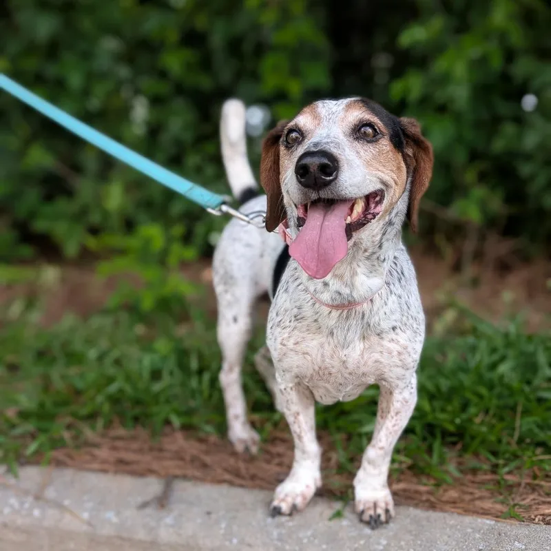 Rosalynn Grace thumbnail 2