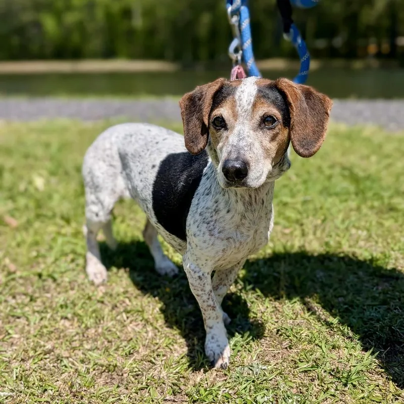 Rosalynn Grace thumbnail 3