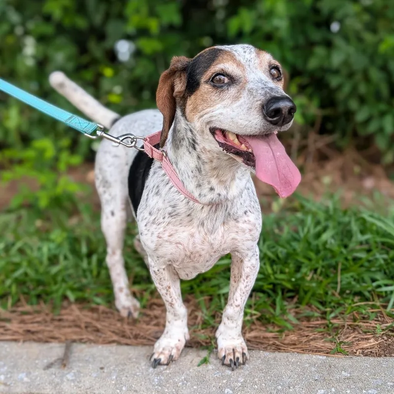 Rosalynn Grace thumbnail 4