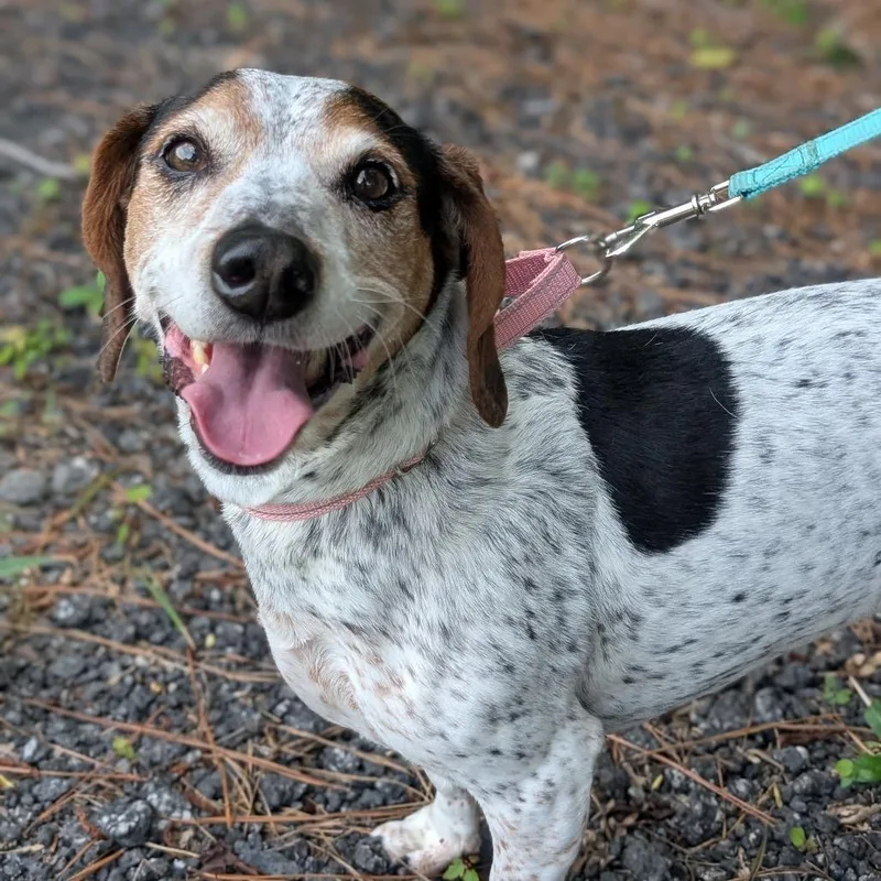 Rosalynn Grace thumbnail 5