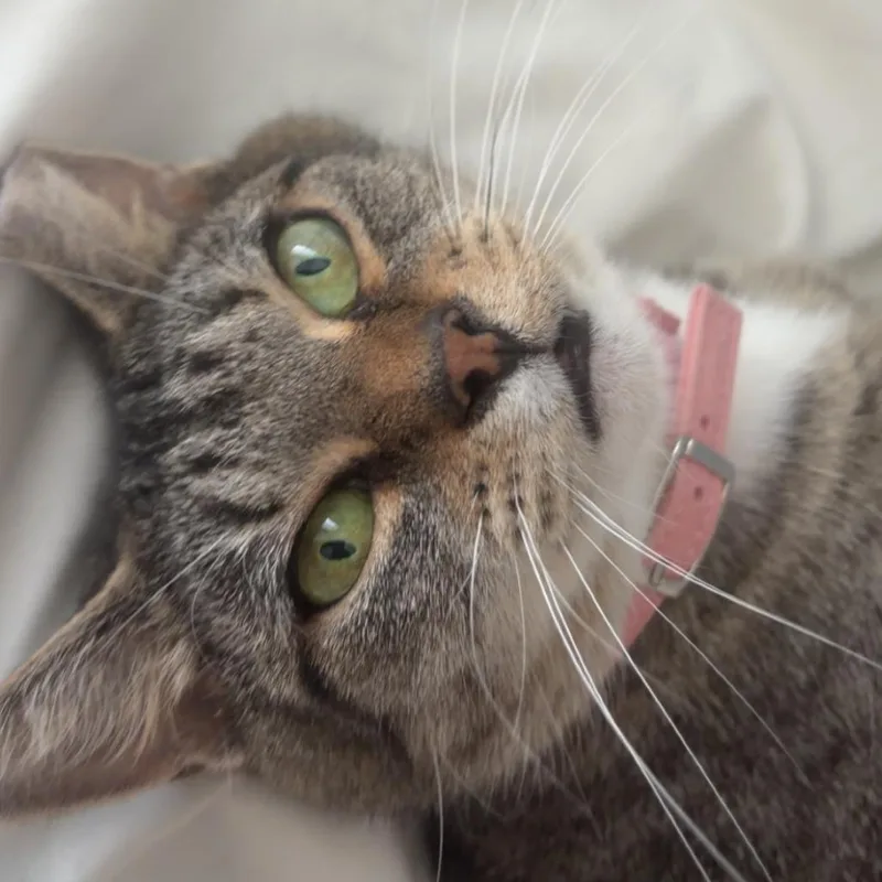 Hayley thumbnail 2