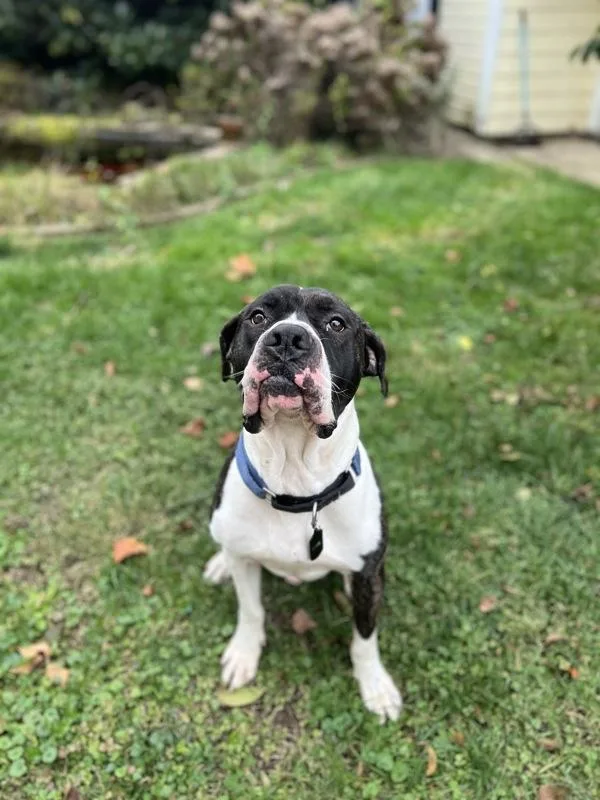 Yukon